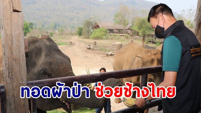 บ้าน ช.ช้าง ชรา จัดทอดผ้าป่าหารายได้ช่วยเหลือปางช้างทั่วประเทศเนื่องในวันช้างไทย ปี 2564