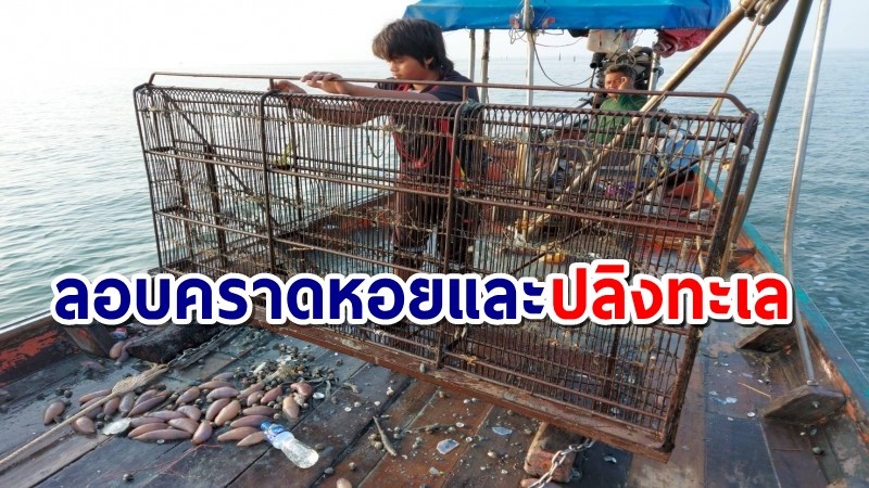 จนท.จับเรือประมงลอบคราดหอย-ปลิงทะเล ในฤดูปลาวางไข่