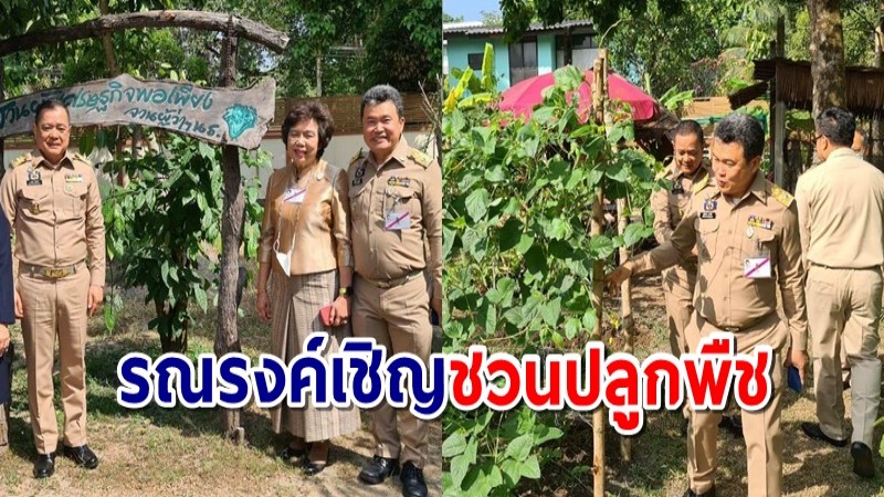 อธิบดี พช. ปลื้ม ผู้ว่าฯ นราธิวาส น้อมนำแนวพระราชดำริฯ ปลูกผักสวนครัว รอบ 2