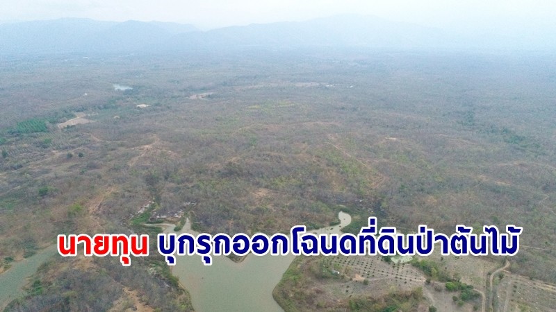 "DSI" ลงพื้นที่ตรวจสอบ "นายทุน - นักการเมือง" บุกรุกออกโฉนดที่ดินป่าต้นไม้ 1,400 ไร่