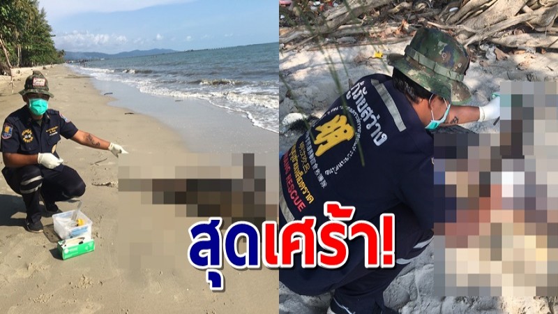 โลมาอิรวดี เกยตื้นดับ ชายหาดบ้านเจ๊กลัก จ.ตราด