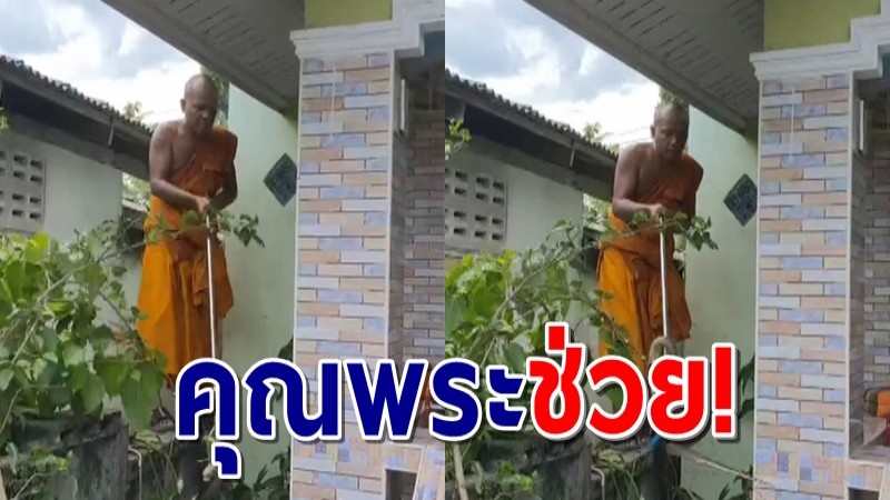 หลวงพี่จิตอาสาช่วยจับงูเลื้อยเข้าบ้าน เป็นที่ชื่นชมของชาวชุมชน