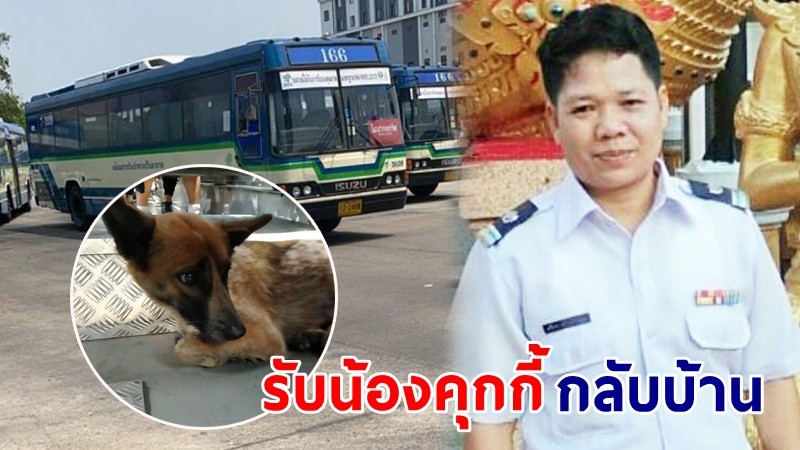 แห่ชื่นชม ! "คนขับรถเมล์" ปอ.166 แวะรับน้องสุนัขหลงทางบนทางด่วน ล่าสุด! พบเจ้าของแล้ว