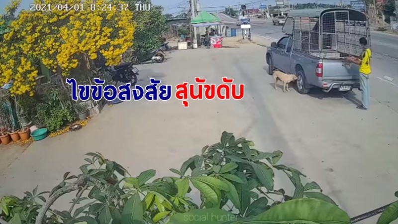 สัตวแพทย์ไขข้อสงสัย คลิปสลดสุนัขดับปริศนา หลังดมล้อรถยนต์