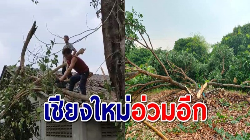 พายุฤดูร้อนพัดถล่ม "จอมทอง" บ้านเรือนเสียหาย 20 หลัง