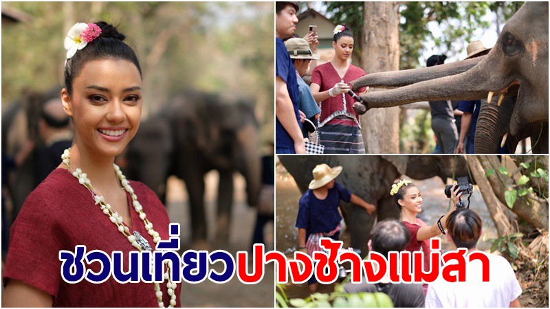 "อแมนด้า" ชวนคนไทยเที่ยว "ปางช้างแม่สา" จ.เชียงใหม่ ช่วยอนุรักษ์ช้างไทย ฝ่าวิกฤตโควิด-19
