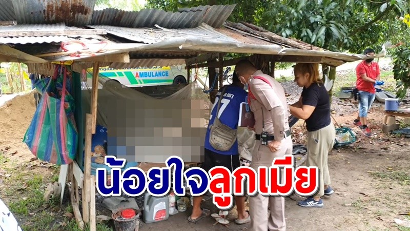 หนุ่มใหญ่ชุมพรเครียด น้อยใจลูกเมียซดเหล้าขาวดับ