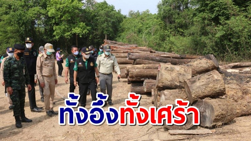 รมว.ทส. เจอไม้ถูกตัดอายุร่วม 40 ปี กว่า 400 ท่อน ที่ไทรโยค