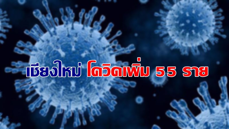 สถานการณ์โควิด-19 จ.เชียงใหม่ 2 พ.ค. 64 พบติดเชื้อเพิ่ม 55 ราย เสียชีวิตเพิ่ม 2 ราย