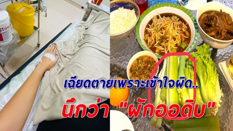 เผยอุทาหรณ์ เกือบน็อคเพราะ "บอนโหรา" กัดคำเดียวเป็นเรื่อง พิษรุนแรงมาก