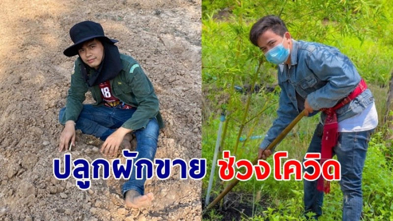 “เจมส์ จตุรงค์” ลงทุนปลูกผักขาย สร้างรายได้ช่วงโควิด