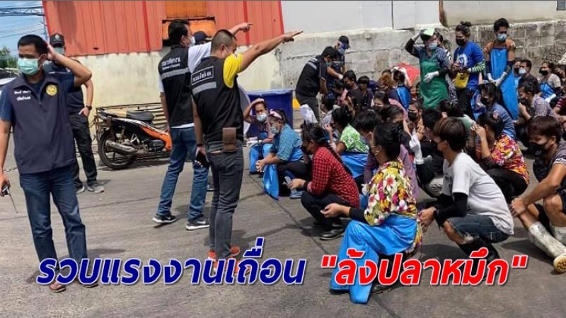 บุกรวบแรงงานเถื่อน "ล้งปลาหมึก" จ่อเอาผิดเจ้าของล้ง