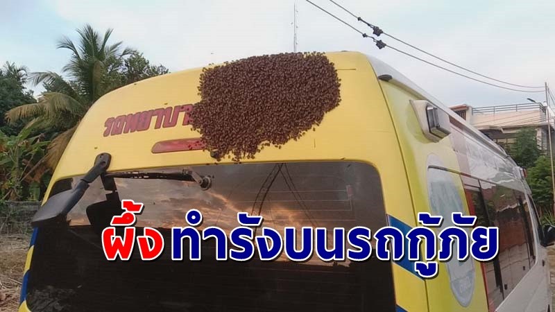 ชาวบ้านฮือฮา ! พบผึ้งนับพันตัว ทำรังบนรถกู้ภัยฯ ทั้งที่จอดไม่นาน แห่ส่องเลขทะเบียน !