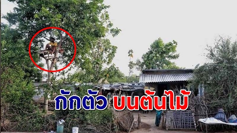 "หนุ่มอินเดีย" ติดโควิด-19 สร้างที่กักตัวบนต้นไม้ กลัวคนในบ้านติดไปด้วย !