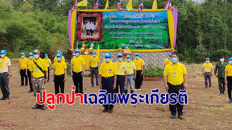 กาญจนบุรี จัดปลูกป่าเฉลิมพระเกียรติ ในหลวง ร.10