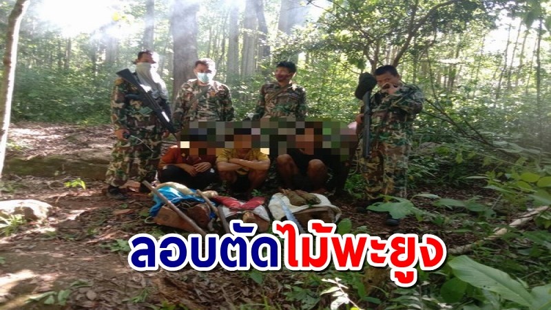 จนท.ป่าห้วยศาลาจับ 3 เขมรลอบตัดไม้พะยูง ในป่าชายแดนไทย-กัมพูชา