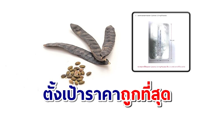 สุดยอด! ไทยผลิตยาเลิกบุหรี่ไซทิรีนสกัดจากเมล็ดจามจุรีสีทอง ดันเข้าบัญชียาหลัก