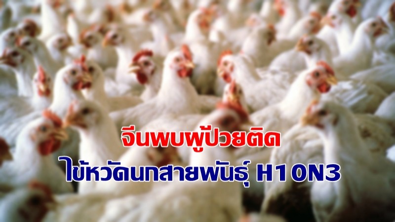 จีน พบผู้ติดเชื้อไข้หวัดนก H10N3 ในมนุษย์รายแรกในโลก