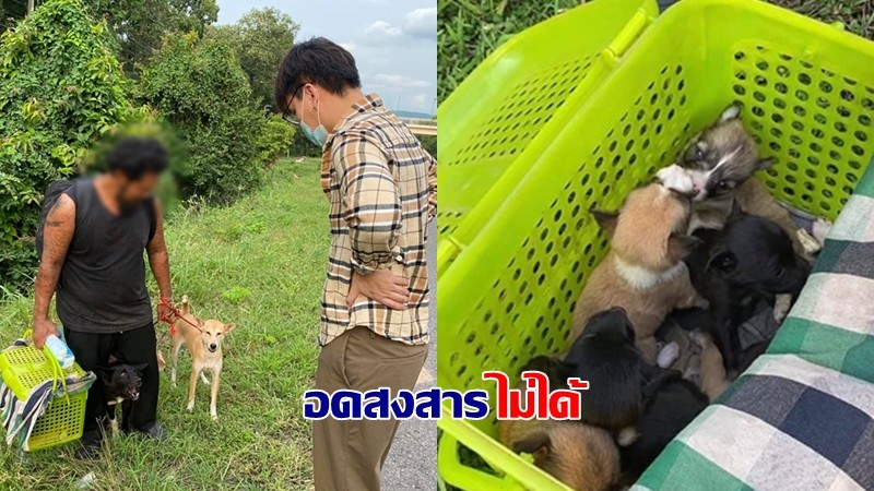 บูม เจ้าของ หมูกระทะ เล่าเหตุการณ์สุดสงสารน้องหมา ชายสติสมประกอบหากินใช้สุนัขเป็นเครื่องมือ