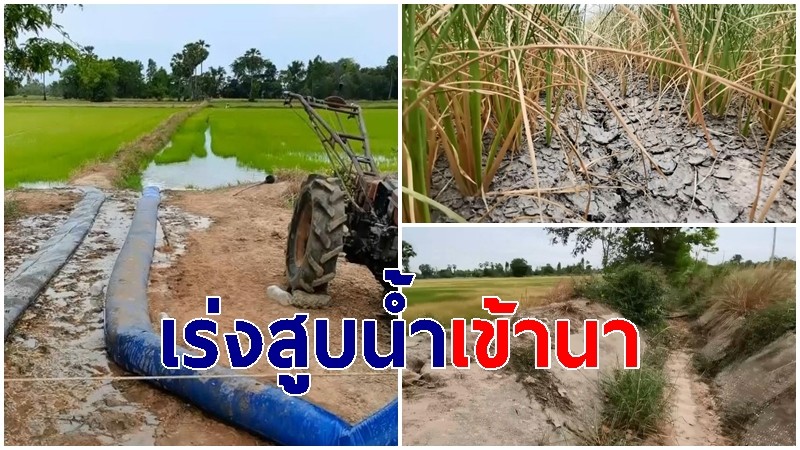 เกษตรกร จ.อุทัยธานี เร่งสูบน้ำเข้านา หลังชลประทานสั่งปล่อยน้ำ ช่วยพื้นที่นาข้าว