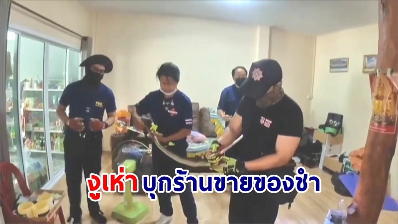 ปภ.พะเยา โร่ช่วยจับงูเห่าขนาด 1.2 เมตร บุกร้านขายของชำ