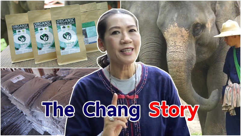 The Chang Story EP29 กับผลิตภัณฑ์หลากหลายจาก "ปางช้างแม่สา"
