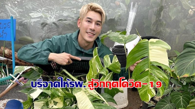 เคน ภูภูมิ ไลฟขายต้นไม้วันเดียวยอด 8 แสนบาท ร่วมสมทบเงินส่วนตัว บริจาคให้รพ. รวมแล้ว 1 ล้านบาท