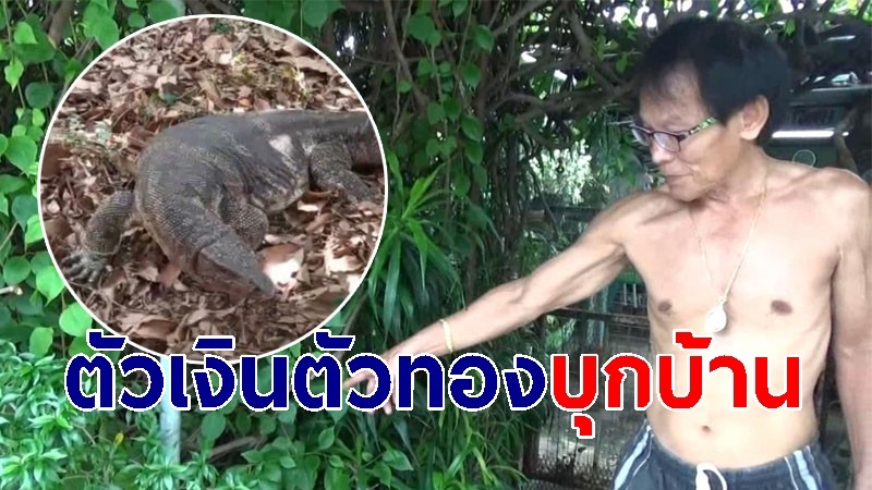 ชายวัย 68 เจอตัวเงินตัวทอง บุกเข้าบ้านพักในโรงเรียน