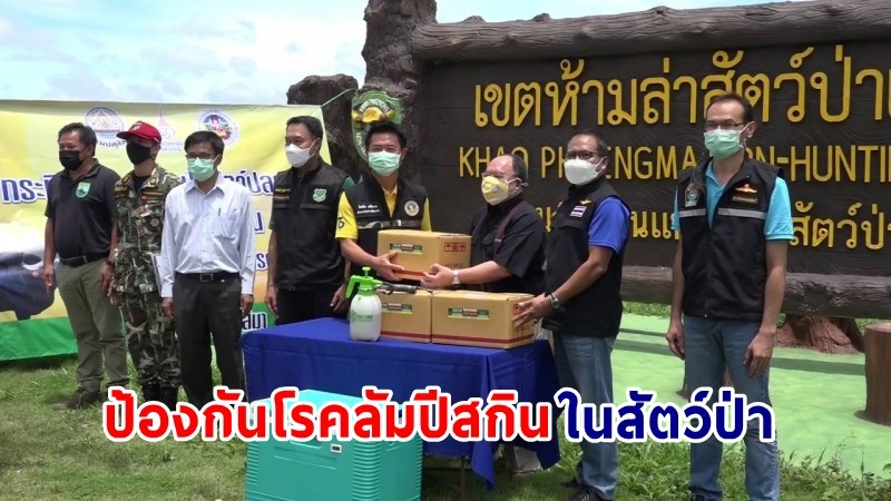 "หลายหน่วยงาน" ประชุมหาแนวทางการป้องกันโรคลัมปีสกินในสัตว์ป่า