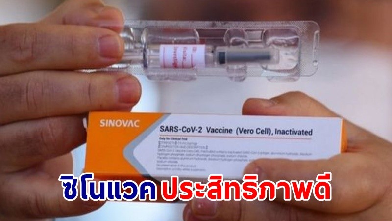 สธ. เผยผลการศึกษาวัคซีน "ซิโนแวค" ในคนไทย 4 แหล่ง พบป้องกันติดเชื้อสายพันธุ์อัลฟา 90% - เดลตา 75%