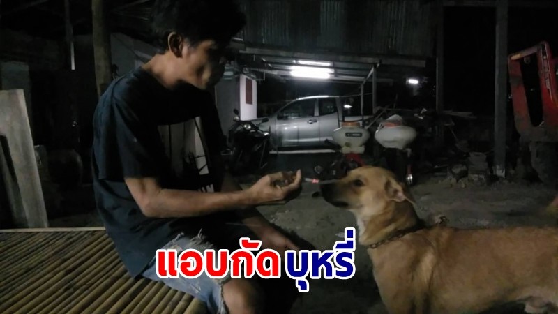 "เจ้ากาแฟ" สุนัขแสนรู้ แอบกัดบุหรี่ตอนเจ้านายเผลอ