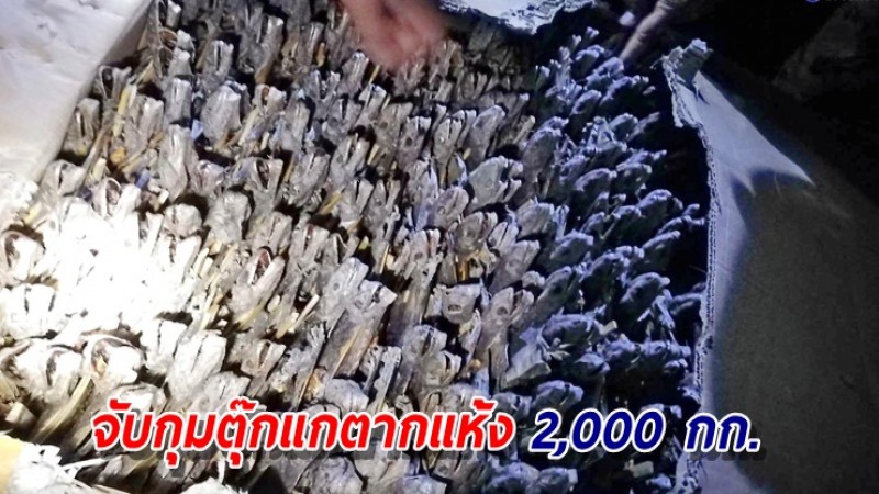 จับเรือขนตุ๊กแกตากแห้ง 2,000 กก. ลอบนำเข้าชายแดนไทย