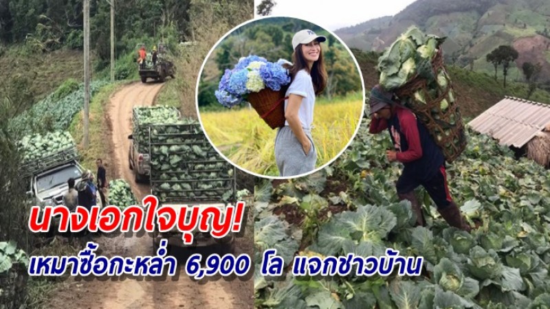 "แอน ทองประสม" ใจบุญ! รับซื้อกะหล่ำปลีช่วยเกษตรกรบ้านแม่แพน้อย แจกจ่ายปชช.