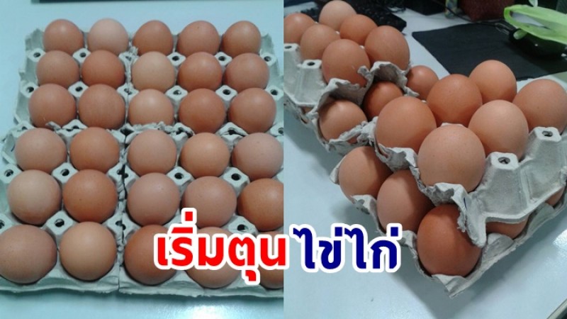  ไข่ไก่แพงขึ้น 10-20 บาทต่อแผง ยอดการผลิตลดลง คนแห่กักตุน