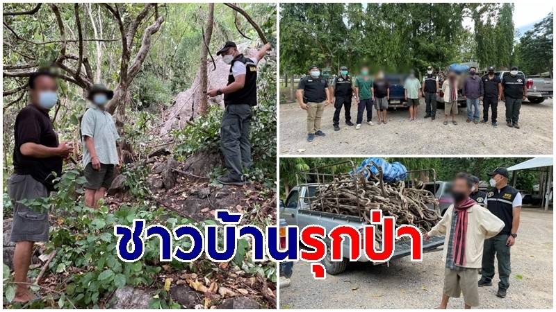 ตำรวจ ปทส รวบชาวบ้านรุกป่า ลักลอบตัดต้นชงโคทำพวงหรีดขาย