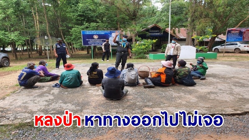 ตามหา "9 คนไทย" เข้าป่าเก็บเห็ดบริเวณชายแดน - หาทางออกไม่เจอ ล่าสุด! เจอตัวแล้วปลอดภัยทุกคน
