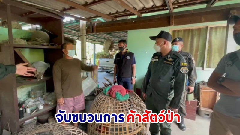 รวบตัว ! "ขบวนการค้าสัตว์ป่า" ส่งออกต่างประเทศ พบ "ซากนกป่า" ในตู้เย็นเตรียมส่งขายให้นักเปิบพิสดาร