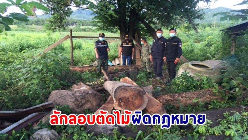 บุกจับ ! "หนุ่มวัย24ปี" ลักลอบตัดไม้ทำลายป่า พร้อมยึดของกลางเพียบ