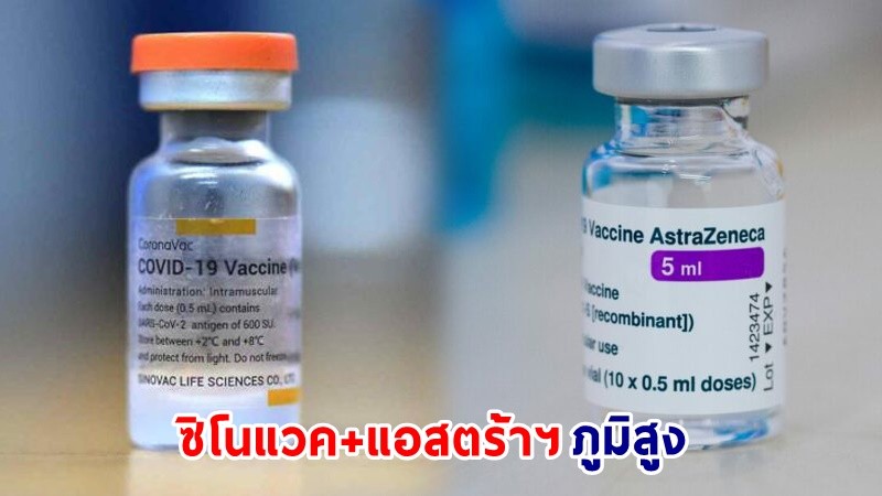 "หมอธีระวัฒน์" สงสัย! ผลศึกษาฉีดวัคซีนสูตรไขว้ "ซิโนแวค+แอสตร้าฯ" ภูมิสูงกว่า แอสตร้าฯ 2 เข็ม