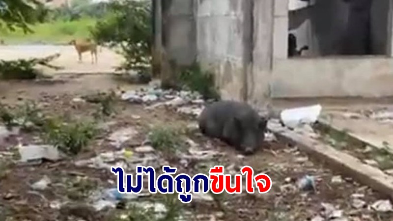 โฆษกตำรวจ ยืนยัน หญิงในตึกร้างไม่ได้ถูกขืนใจ สติสมประกอบ