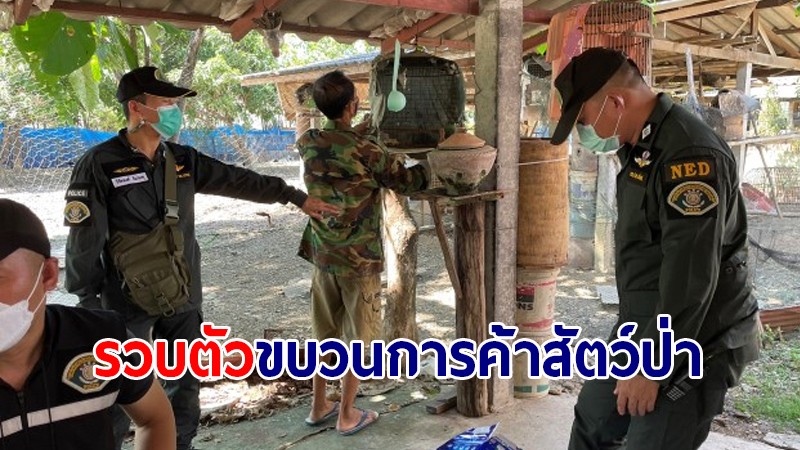 รวบตัว ! "ขบวนการค้าสัตว์ป่า" ส่งออกต่างประเทศ 2 คน พร้อมยึดของกลาง -  อาวุธปืนเถื่อน