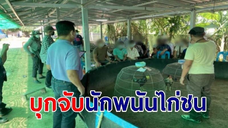 "ศรีสะเกษ" ฝ่ายปกครอง 3 อำเภอ บุกจับพนันไก่ชน ได้ผู้ต้องหา 11 ราย ไก่ชน 2 ตัว