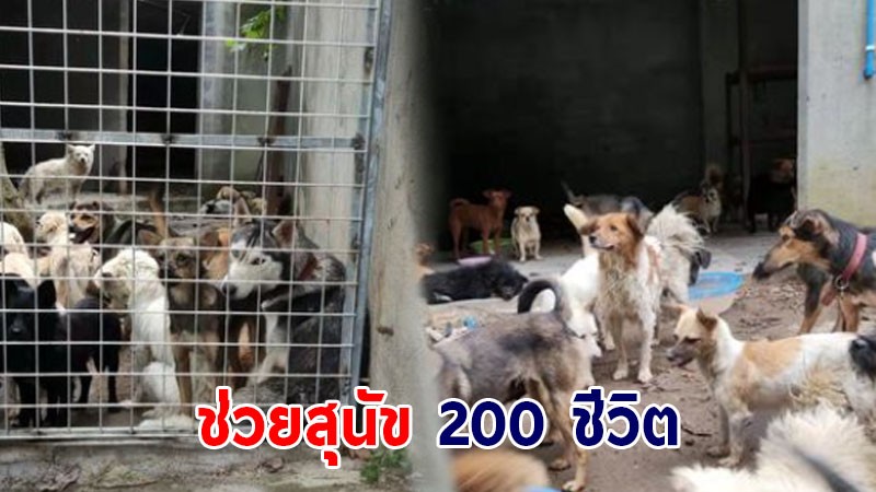 บีบหัวใจ ! จนท.จีนช่วยสุนัขเกือบ 200 ชีวิต จากโรงฆ่าสัตว์