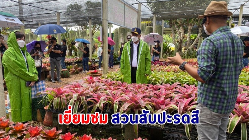 "ผู้ว่าฯโคราช" นำคณะ เยี่ยมชมสวนสับปะรดสี อ.วังน้ำเขียว ใช้เทคโนโลยีขายออนไลน์