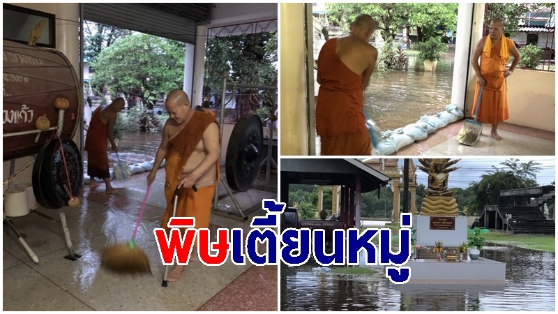 พิษเตี้ยนหมู่น้ำท่วม วัดหนองยาง จ.ศรีสะเกษ พระเณรช่วยกันวิดน้ำออกจากศาลาวัด