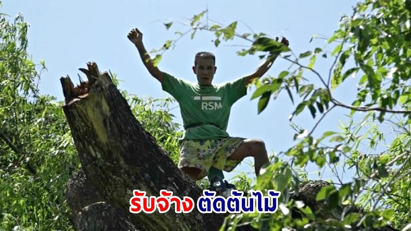 "ลุงวัย54ปี" สู้ชีวิต! รับจ้างปีนต้นไม้มือเปล่า ตัดทอนกิ่งก้าน ตามอาคารบ้านเรือน