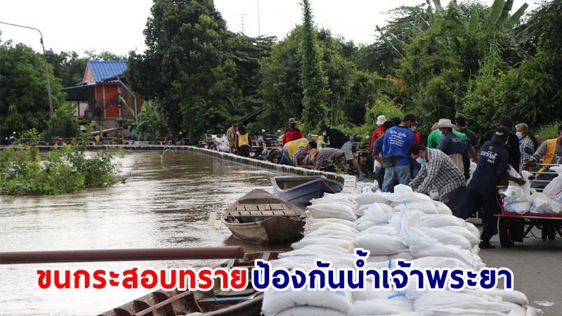 "สามล้อแดง" ลุยฝนขนกระสอบทรายป้องกันน้ำเจ้าพระยา หลังล้นพนังกั้นน้ำเหลือไม่ถึง 10 ซม.