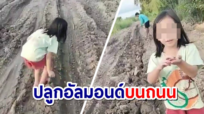 ชาวบ้านสุดทน! ถ่ายคลิป พ่อขุดดิน-ลูกปลูกอัลมอนด์ ประชดถนนพังไร้เหลียวแล