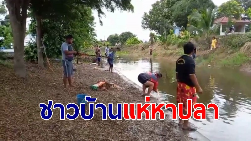 ชาวบ้านแห่หาปลาคึกคัก หลังน้ำในคลองเน่าเสีย ฝูงปลาลอยหัวผิวน้ำ