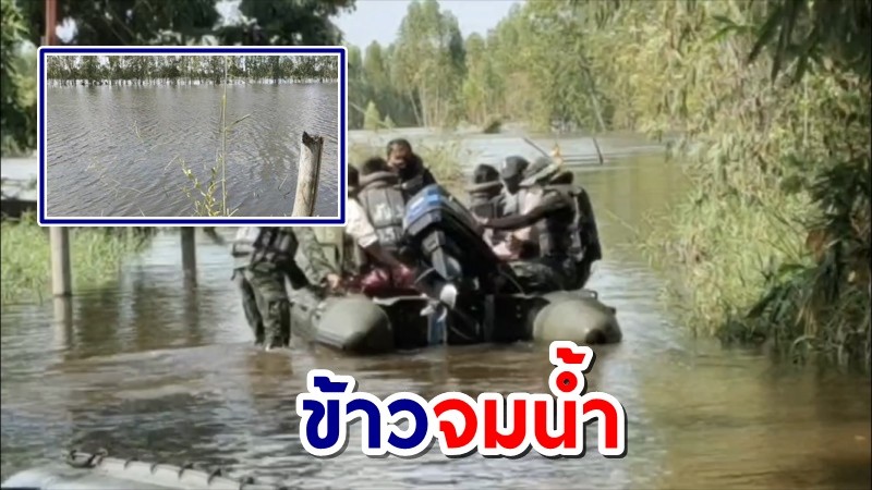 ทหารลงช่วยชาวกาฬสินธุ์ เดินทางทำบุญกฐิน หลังน้ำท่วม ข้าวจมเสียหาย 1,500 ไร่